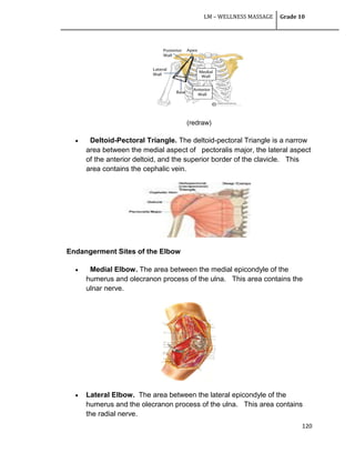 LM – WELLNESS MASSAGE Grade 10
120
(redraw)
 Deltoid-Pectoral Triangle. The deltoid-pectoral Triangle is a narrow
area between the medial aspect of pectoralis major, the lateral aspect
of the anterior deltoid, and the superior border of the clavicle. This
area contains the cephalic vein.
Endangerment Sites of the Elbow
 Medial Elbow. The area between the medial epicondyle of the
humerus and olecranon process of the ulna. This area contains the
ulnar nerve.
 Lateral Elbow. The area between the lateral epicondyle of the
humerus and the olecranon process of the ulna. This area contains
the radial nerve.
 
