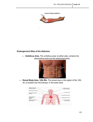 LM – WELLNESS MASSAGE Grade 10
121
.
Endangerment Sites of the Abdomen
 Umbilicus Area. The umbilicus area, to either side, contains the
descending aorta and the abdominal aorta.
 Dorsal Body Area, 12th Rib. The dorsal area in the region of the 12th
rib, is located over the kidneys, in the lower back.
 