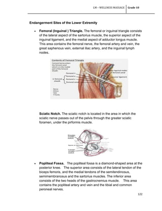 LM – WELLNESS MASSAGE Grade 10
122
Endangerment Sites of the Lower Extremity
 Femoral (Inguinal ) Triangle. The femoral or inguinal triangle consists
of the lateral aspect of the sartorius muscle, the superior aspect of the
inguinal ligament, and the medial aspect of adductor longus muscle.
This area contains the femoral nerve, the femoral artery and vein, the
great saphenous vein, external iliac artery, and the inguinal lymph
nodes.
Sciatic Notch. The sciatic notch is located in the area in which the
sciatic nerve passes out of the pelvis through the greater sciatic
foramen, under the pirformis muscle.
 Popliteal Fossa. The popliteal fossa is a diamond-shaped area at the
posterior knee. The superior area consists of the lateral tendon of the
biceps femoris, and the medial tendons of the semitendinosus,
semimembranosus and the sartorius muscles. The inferior area
consists of the two heads of the gastrocnemius muscle. This area
contains the popliteal artery and vein and the tibial and common
peroneal nerves.
 