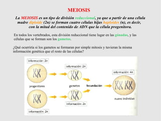 Presentación Tema 3. La célula y la teoría celular