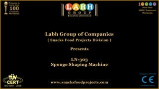 Labh Group of Companies
( Snacks Food Projects Division )
Presents
LN-303
Sponge Shaping Machine
www.snacksfoodprojects.com
 