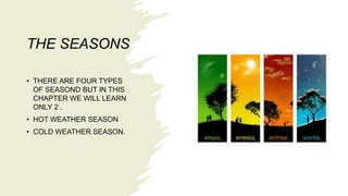 THE SEASONS
• THERE ARE FOUR TYPES
OF SEASOND BUT IN THIS
CHAPTER WE WILL LEARN
ONLY 2 .
• HOT WEATHER SEASON
• COLD WEATHER SEASON.
 