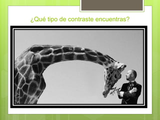 ¿Qué tipo de contraste encuentras?
 