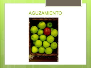AGUZAMIENTO
 