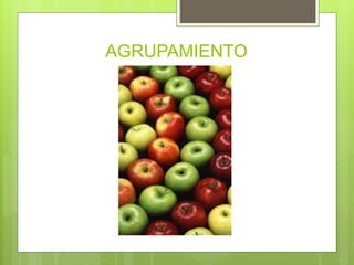 AGRUPAMIENTO
 
