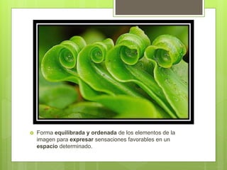  Forma equilibrada y ordenada de los elementos de la
imagen para expresar sensaciones favorables en un
espacio determinado.
 