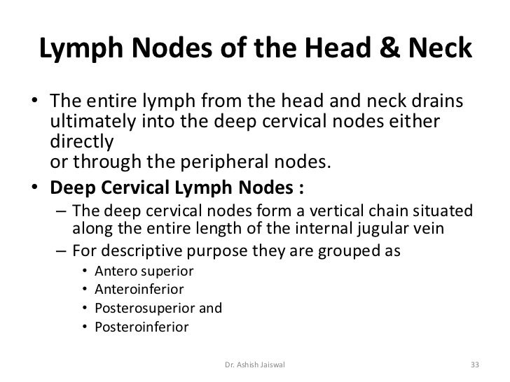 functions of lymph