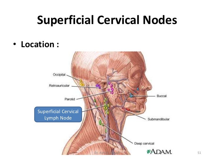 13+ Preauricular Lymph Node Swelling Pics