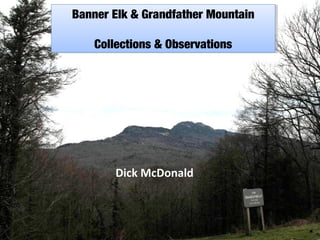 Banner Elk & Grandfather Mountain
Banner Elk & Grandfather Mountain
Collections & Observations
Collections & Observations

Dick McDonald

 