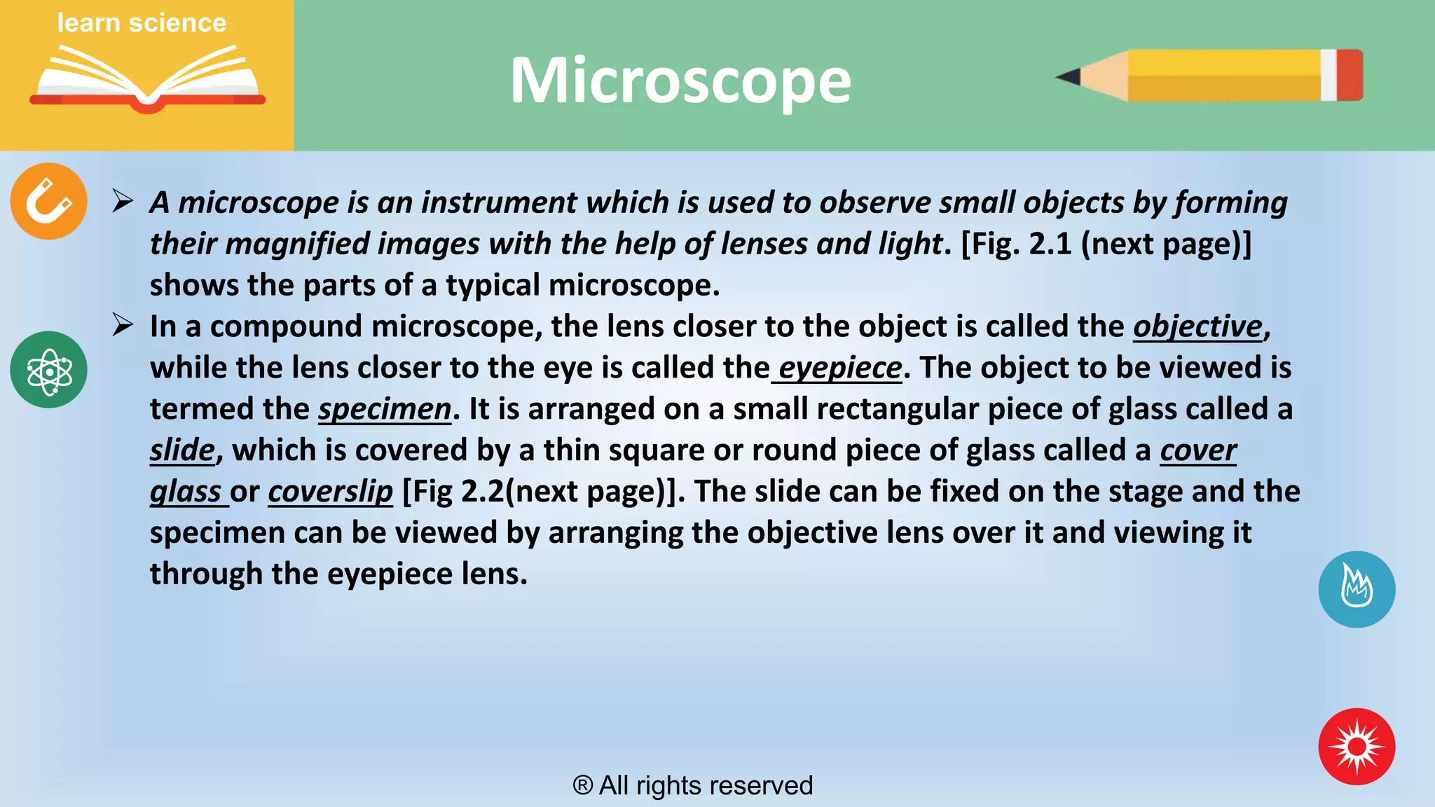 microorganism | PPT