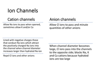 Ion Channels
Cation channels
Allow Na ions to pass when opened,
sometimes allow K and/or Ca
Lined with negative charges those
that conduct Na ions which attract
the positively charged Na ions into
the channel when channel diameter
increases larger than hydrated Na ion
Repel Cl ions and other anions
Anion channels
Allow Cl ions to pass and minute
quantities of other anions
When channel diameter becomes
large, Cl ions pass into the channels
to the opposite side; blocks Na, K
and Ca cations because hydrated
ions are too large
 
