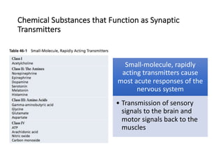 Chemical Substances that Function as Synaptic
Transmitters
Small-molecule, rapidly
acting transmitters cause
most acute responses of the
nervous system
• Transmission of sensory
signals to the brain and
motor signals back to the
muscles
 