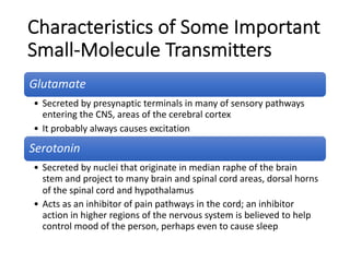 Characteristics of Some Important
Small-Molecule Transmitters
Glutamate
• Secreted by presynaptic terminals in many of sensory pathways
entering the CNS, areas of the cerebral cortex
• It probably always causes excitation
Serotonin
• Secreted by nuclei that originate in median raphe of the brain
stem and project to many brain and spinal cord areas, dorsal horns
of the spinal cord and hypothalamus
• Acts as an inhibitor of pain pathways in the cord; an inhibitor
action in higher regions of the nervous system is believed to help
control mood of the person, perhaps even to cause sleep
 