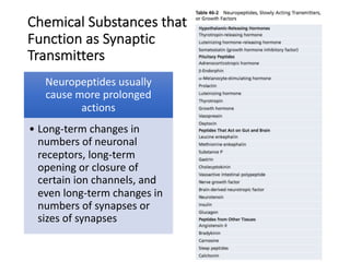 Chemical Substances that
Function as Synaptic
Transmitters
Neuropeptides usually
cause more prolonged
actions
• Long-term changes in
numbers of neuronal
receptors, long-term
opening or closure of
certain ion channels, and
even long-term changes in
numbers of synapses or
sizes of synapses
 
