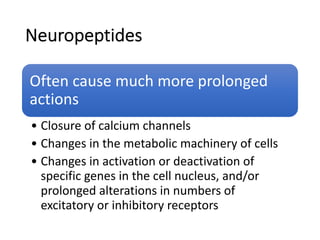 Neuropeptides
Often cause much more prolonged
actions
• Closure of calcium channels
• Changes in the metabolic machinery of cells
• Changes in activation or deactivation of
specific genes in the cell nucleus, and/or
prolonged alterations in numbers of
excitatory or inhibitory receptors
 