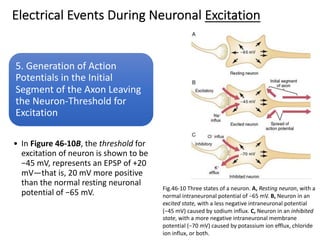 5. Generation of Action
Potentials in the Initial
Segment of the Axon Leaving
the Neuron-Threshold for
Excitation
• In Figure 46-10B, the threshold for
excitation of neuron is shown to be
−45 mV, represents an EPSP of +20
mV—that is, 20 mV more positive
than the normal resting neuronal
potential of −65 mV.
Electrical Events During Neuronal Excitation
Fig.46-10 Three states of a neuron. A, Resting neuron, with a
normal intraneuronal potential of −65 mV. B, Neuron in an
excited state, with a less negative intraneuronal potential
(−45 mV) caused by sodium influx. C, Neuron in an inhibited
state, with a more negative intraneuronal membrane
potential (−70 mV) caused by potassium ion efflux, chloride
ion influx, or both.
 