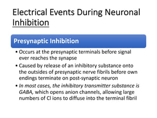 Electrical Events During Neuronal
Inhibition
Presynaptic Inhibition
• Occurs at the presynaptic terminals before signal
ever reaches the synapse
• Caused by release of an inhibitory substance onto
the outsides of presynaptic nerve fibrils before own
endings terminate on post-synaptic neuron
• In most cases, the inhibitory transmitter substance is
GABA, which opens anion channels, allowing large
numbers of Cl ions to diffuse into the terminal fibril
 