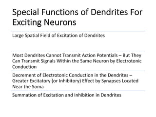 Special Functions of Dendrites For
Exciting Neurons
Large Spatial Field of Excitation of Dendrites
Most Dendrites Cannot Transmit Action Potentials – But They
Can Transmit Signals Within the Same Neuron by Electrotonic
Conduction
Decrement of Electrotonic Conduction in the Dendrites –
Greater Excitatory (or Inhibitory) Effect by Synapses Located
Near the Soma
Summation of Excitation and Inhibition in Dendrites
 