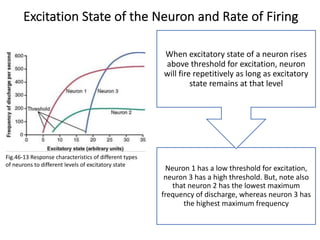 Excitation State of the Neuron and Rate of Firing
Neuron 1 has a low threshold for excitation,
neuron 3 has a high threshold. But, note also
that neuron 2 has the lowest maximum
frequency of discharge, whereas neuron 3 has
the highest maximum frequency
When excitatory state of a neuron rises
above threshold for excitation, neuron
will fire repetitively as long as excitatory
state remains at that level
Fig.46-13 Response characteristics of different types
of neurons to different levels of excitatory state
 