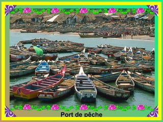 Port de pêche 