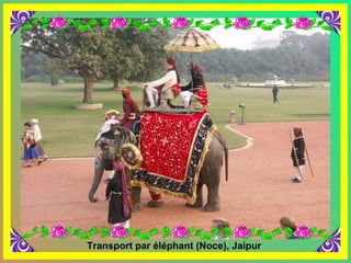 Transport par éléphant (Noce), Jaipur 