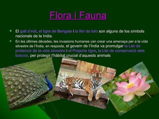 Flora i Fauna


El gall d’indi, el tigre de Bengala i la flor de loto son alguns de los símbols
nacionals de la India.



En les últimes dècades, les invasions humanes van crear una amenaça per a la vida
silvestre de l’Índia, en resposta, el govern de l’Índia va promulgar la Llei de

protecció de la vida silvestre i el Projecte tigre, la Llei de conservació dels
boscos. per protegir l’hàbitat crucial d’aquests animals

 