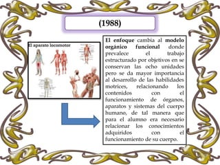 (1988)
El enfoque cambia al modelo
orgánico funcional donde
prevalece el trabajo
estructurado por objetivos en se
conservan las ocho unidades
pero se da mayor importancia
al desarrollo de las habilidades
motrices, relacionando los
contenidos con el
funcionamiento de órganos,
aparatos y sistemas del cuerpo
humano, de tal manera que
para el alumno era necesario
relacionar los conocimientos
adquiridos con el
funcionamiento de su cuerpo.
 
