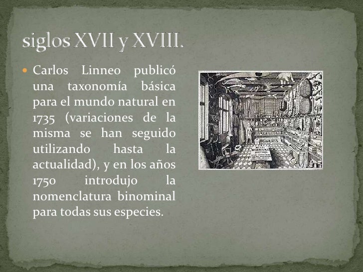 Línea del tiempo de la etimología