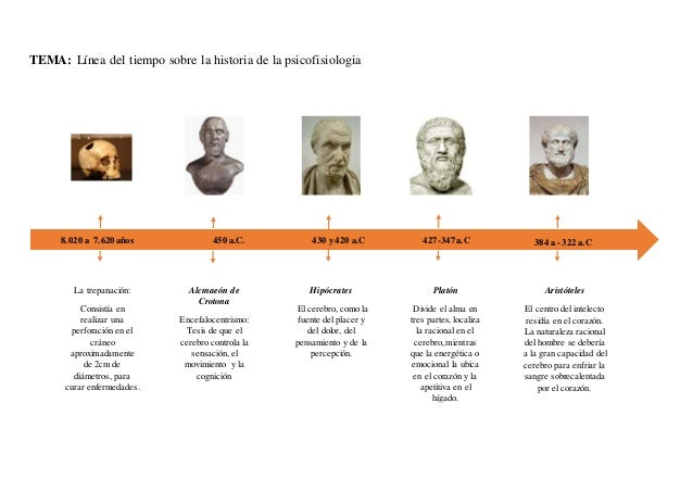 Historia De La Anatomia Linea Del Tiempo