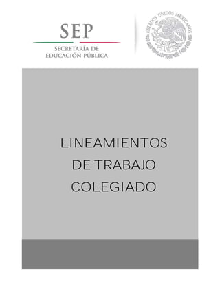 0
LINEAMIENTOS
DE TRABAJO
COLEGIADO
 