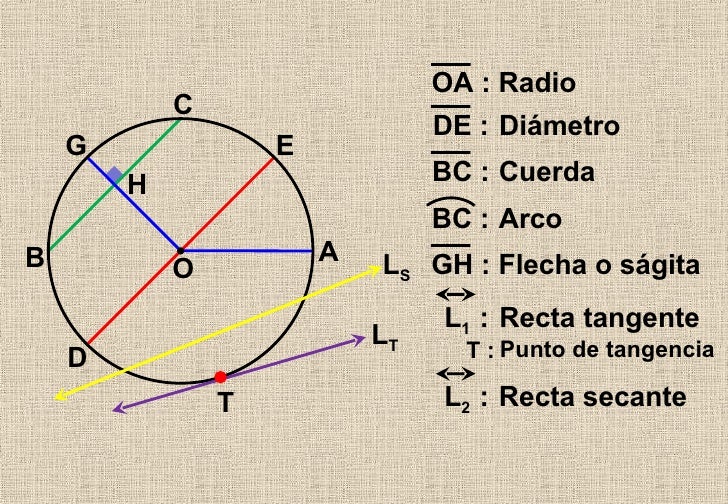 Líneas Asociadas A La Circunferencia