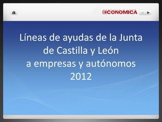 Líneas de ayudas de la Junta
     de Castilla y León
  a empresas y autónomos
           2012
 
