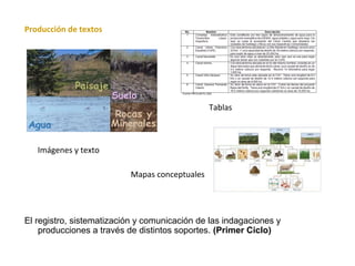 Producción de textos 
Imágenes y texto 
Tablas 
Mapas conceptuales 
El registro, sistematización y comunicación de las indagaciones y 
producciones a través de distintos soportes. (Primer Ciclo) 
 