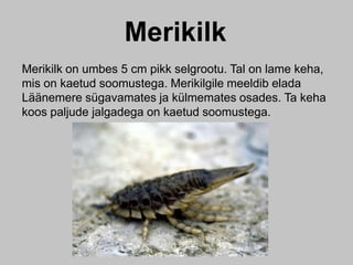 Merikilk
Merikilk on umbes 5 cm pikk selgrootu. Tal on lame keha,
mis on kaetud soomustega. Merikilgile meeldib elada
Läänemere sügavamates ja külmemates osades. Ta keha
koos paljude jalgadega on kaetud soomustega.
 