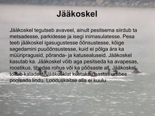 Jääkoskel
Jääkoskel tegutseb avaveel, ainult pesitsema siirdub ta
metsadesse, parkidesse ja isegi inimasulatesse. Pesa
teeb jääkoskel igasugustesse õõnsustesse, kõige
sagedamini puuõõnsustesse, kuid ei põlga ära ka
müüripragusid, põranda- ja katusealuseid. Jääkoskel
kasutab ka. Jääkoskel võib aga pesitseda ka avapesas,
roostikus, tihedas rohus või ka põõsaste all. Jääkoskel
toitub kaladest. Jääkosklat kütitakse aastas umbes
poolsada lindu. Looduskaitse alla ei kuulu.
 