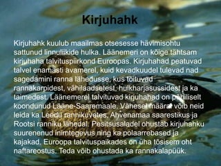 Kirjuhahk
Kirjuhahk kuulub maailmas otsesesse hävimisohtu
sattunud linnuliikide hulka. Läänemeri on kõige tähtsam
kirjuhaha talvituspiirkond Euroopas. Kirjuhahad peatuvad
talvel enamasti avamerel, kuid kevadkuudel tulevad nad
sagedamini ranna lähedusse, kus toituvad
rannakarpidest, vähilaadsetest, hulkharjasussidest ja ka
taimedest. Läänemerel talvituvad kirjuhahad on põhiliselt
koondunud Lääne-Saaremaale. Vähesel määral võib neid
leida ka Leedu rannikuvetes, Ahvenamaa saarestikus ja
Rootsi ranniku lähedal. Pesitsusaladel ohustab kirjuhahku
suurenenud inimtegevus ning ka polaarrebased ja
kajakad. Euroopa talvituspaikades on üha tõsisem oht
naftareostus. Teda võib ohustada ka rannakalapüük.
 