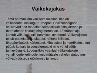 Väikekajakas
Tema on maailma väikseim kajakas, kes on
väikesearvuline kogu Euroopas. Pesitsuspaigana
eelistavad nad madalate taimestikurikaste järvede ja
merelahtede kaldaid ning meresaari. Läbirände ajal
kohtub väikekajakaid peamiselt avamerel. Väikekajakas
toitub peamiselt putukatest, näiteks kiilidest,
ühepäevikutest, kärbestest, kihulastest ja mardikatest, ent
püüab ka kala ja veeselgrootuid ning vahel sööb
taimevõsusid. Looduslikke vaenlasi väikekajakate
vanalindudel eriti pole, kuid mätaste vahele rajatud pesi
võivad rüüstada röövlomad ja linnud.
 