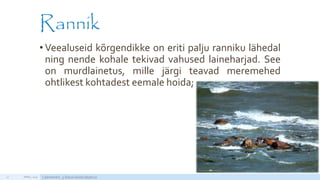 Rannik
• Veealuseid kõrgendikke on eriti palju ranniku lähedal
ning nende kohale tekivad vahused laineharjad. See
on murdlainetus, mille järgi teavad meremehed
ohtlikest kohtadest eemale hoida;
APRILL 2015 Läänemeri, 5.klassi loodusõpetus12
http://static3.nagi.ee/i/p/658/86/16471575d6046a_m.jpg/1
 