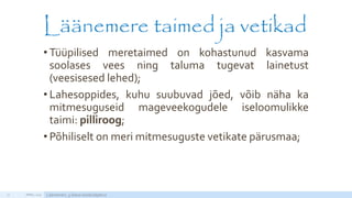 Läänemere taimed ja vetikad
• Tüüpilised meretaimed on kohastunud kasvama
soolases vees ning taluma tugevat lainetust
(veesisesed lehed);
• Lahesoppides, kuhu suubuvad jõed, võib näha ka
mitmesuguseid mageveekogudele iseloomulikke
taimi: pilliroog;
• Põhiliselt on meri mitmesuguste vetikate pärusmaa;
APRILL 2015 Läänemeri, 5.klassi loodusõpetus27
http://static2.nagi.ee/i/p/357/39/08934813280fb7_m.jpg/1
 
