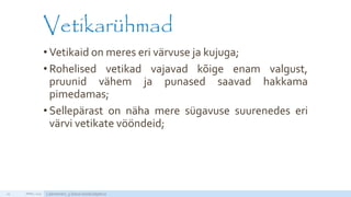 Vetikarühmad
• Vetikaid on meres eri värvuse ja kujuga;
• Rohelised vetikad vajavad kõige enam valgust,
pruunid vähem ja punased saavad hakkama
pimedamas;
• Sellepärast on näha mere sügavuse suurenedes eri
värvi vetikate vööndeid;
APRILL 2015 Läänemeri, 5.klassi loodusõpetus29
http://static2.nagi.ee/i/p/357/39/08934813280fb7_m.jpg/1
 