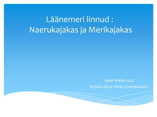 Läänemeri linnud :
Naerukajakas ja Merikajakas
Apet Nikita 10.b
Kohtla-Järve Vene Gümnaasium
 