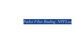Packet Filter Binding: NPFLua
 