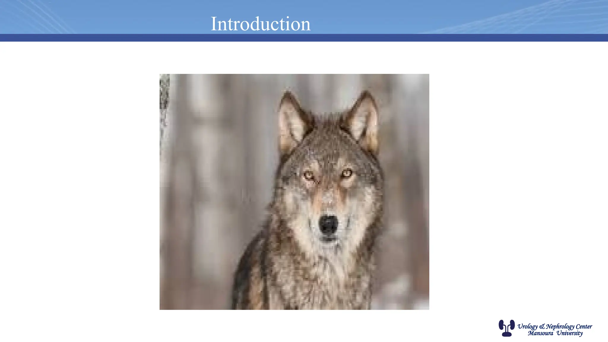 Urology & Nephrology Center
Mansoura University
Introduction
 