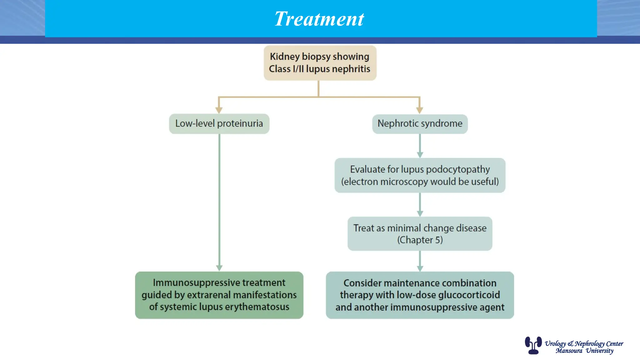 Urology & Nephrology Center
Mansoura University
Treatment
 
