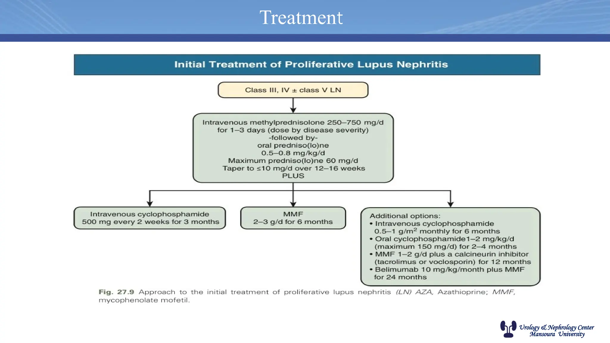 Urology & Nephrology Center
Mansoura University
Treatment
 