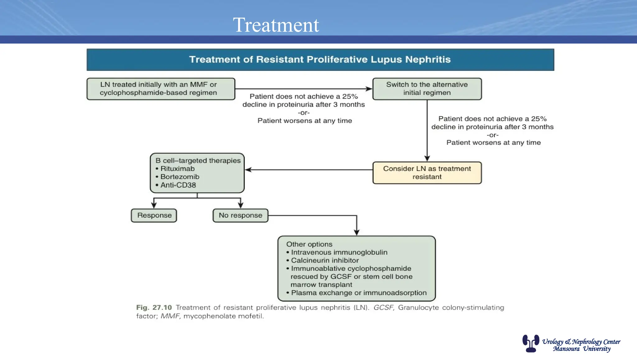 Urology & Nephrology Center
Mansoura University
Treatment
 