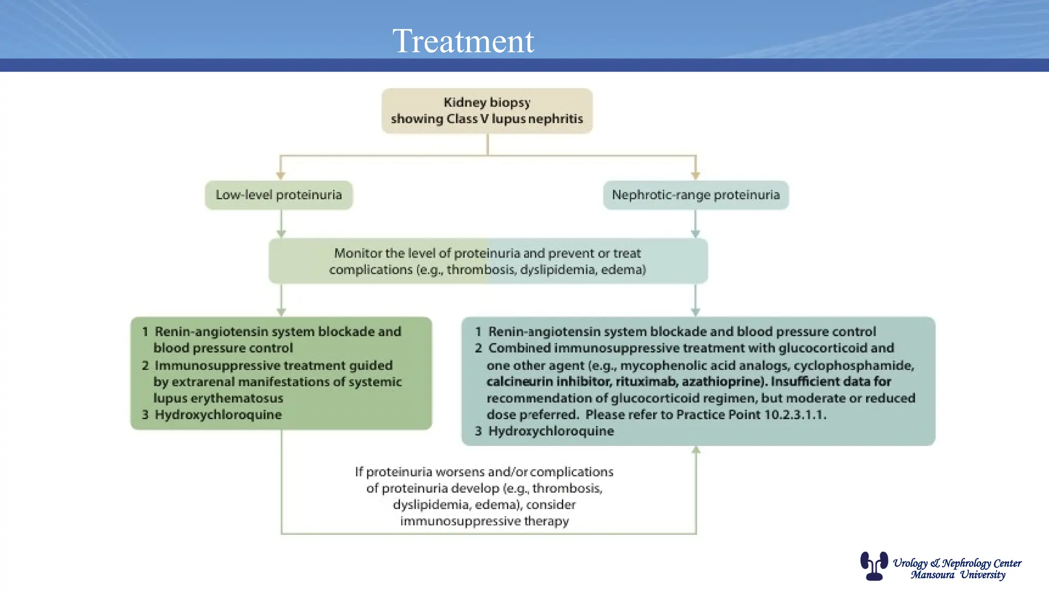 Urology & Nephrology Center
Mansoura University
Treatment
 