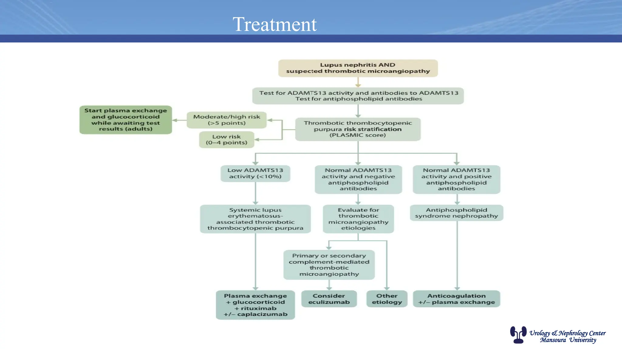 Urology & Nephrology Center
Mansoura University
Treatment
 