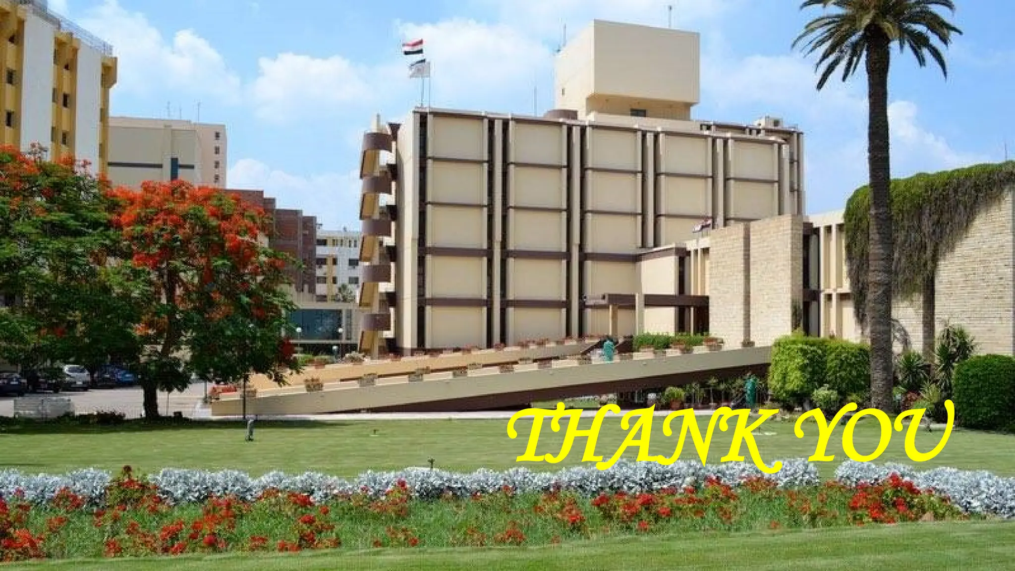 Urology & Nephrology Center
Mansoura University
Thank You
THANK YOU
 