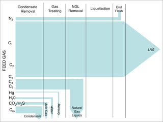 LNG and FLNG Intro for Petroleum Engineers | PDF